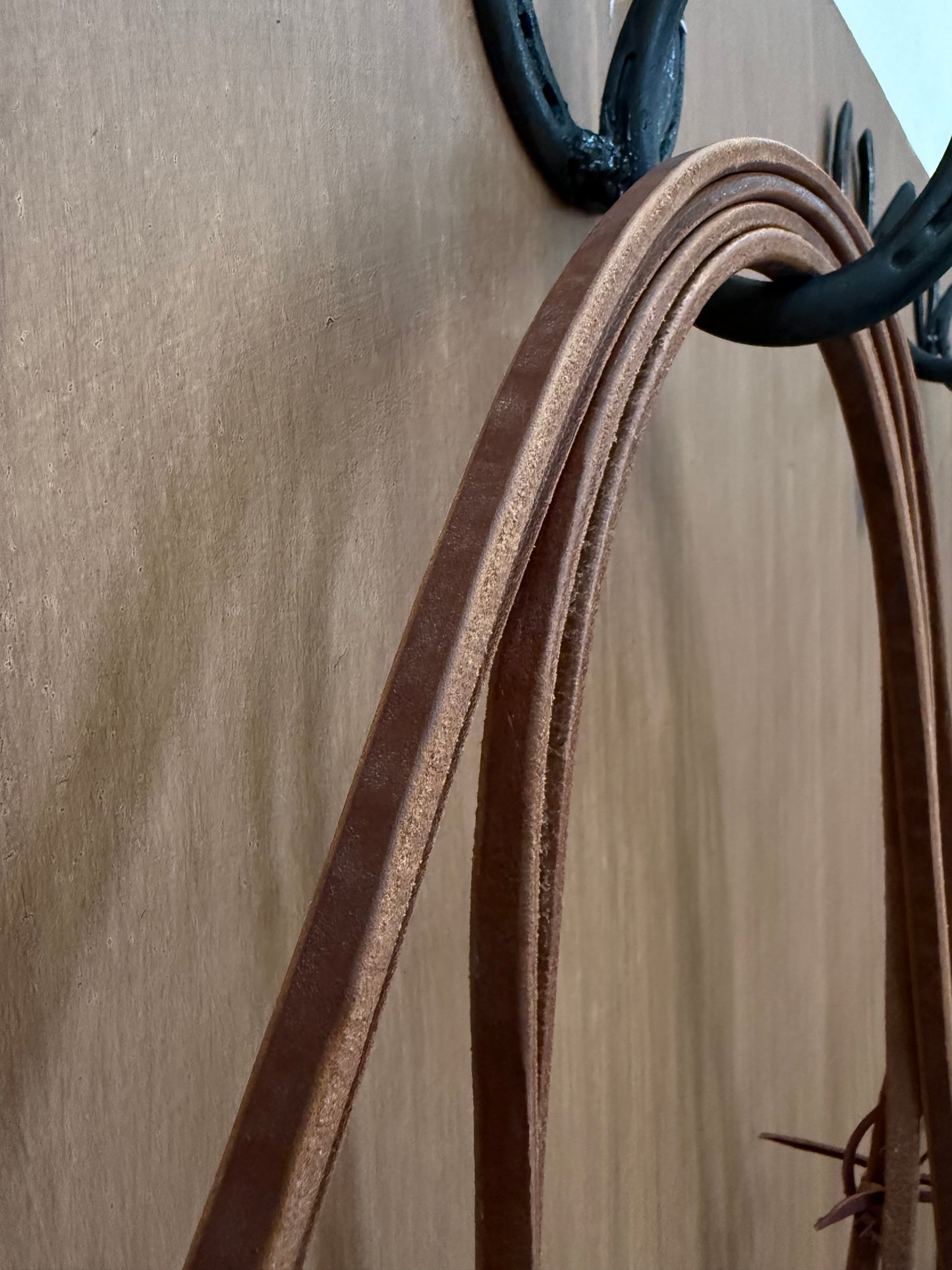 Whole correctional horse bridle