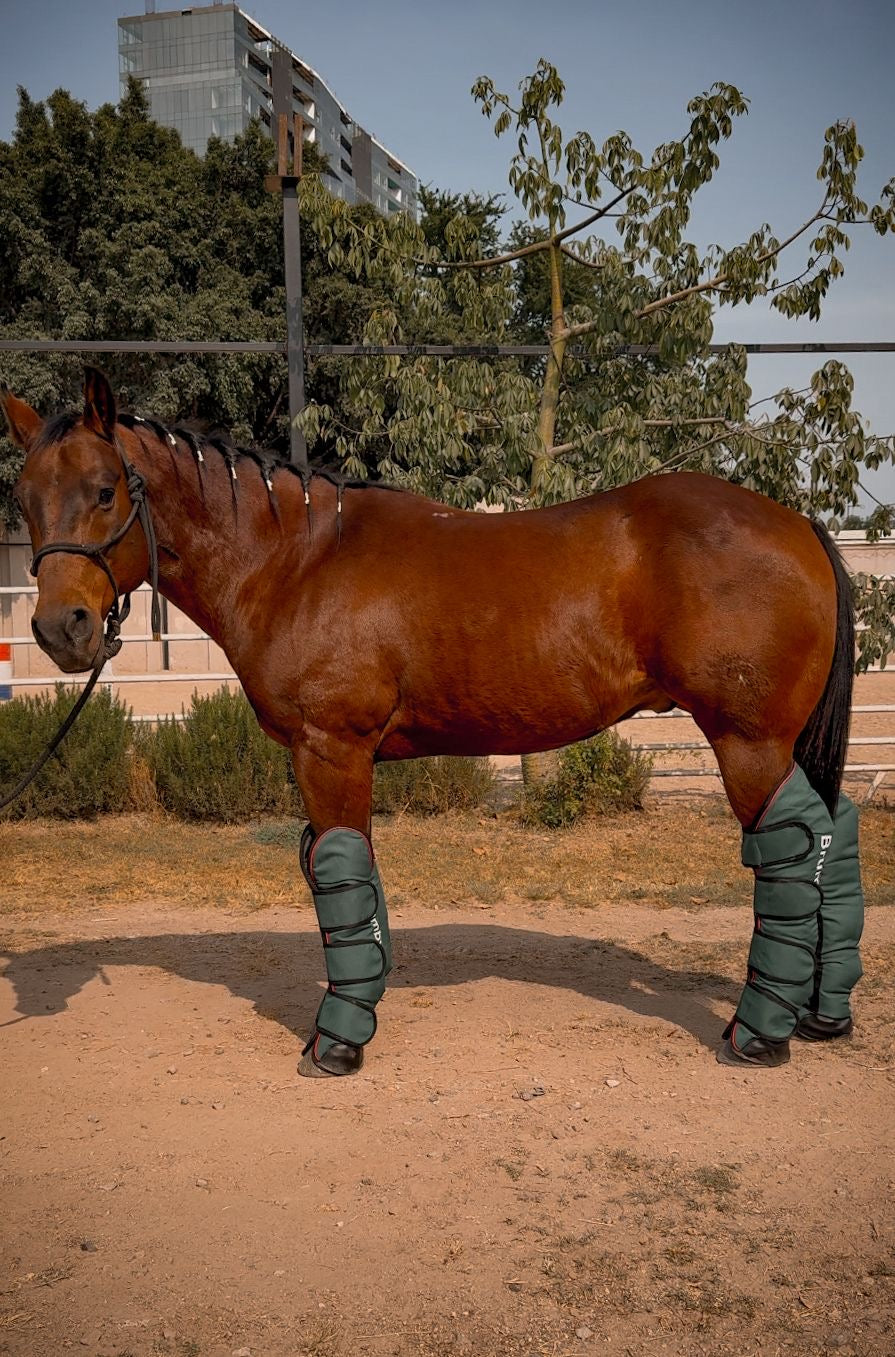 Botas de viaje Brumby