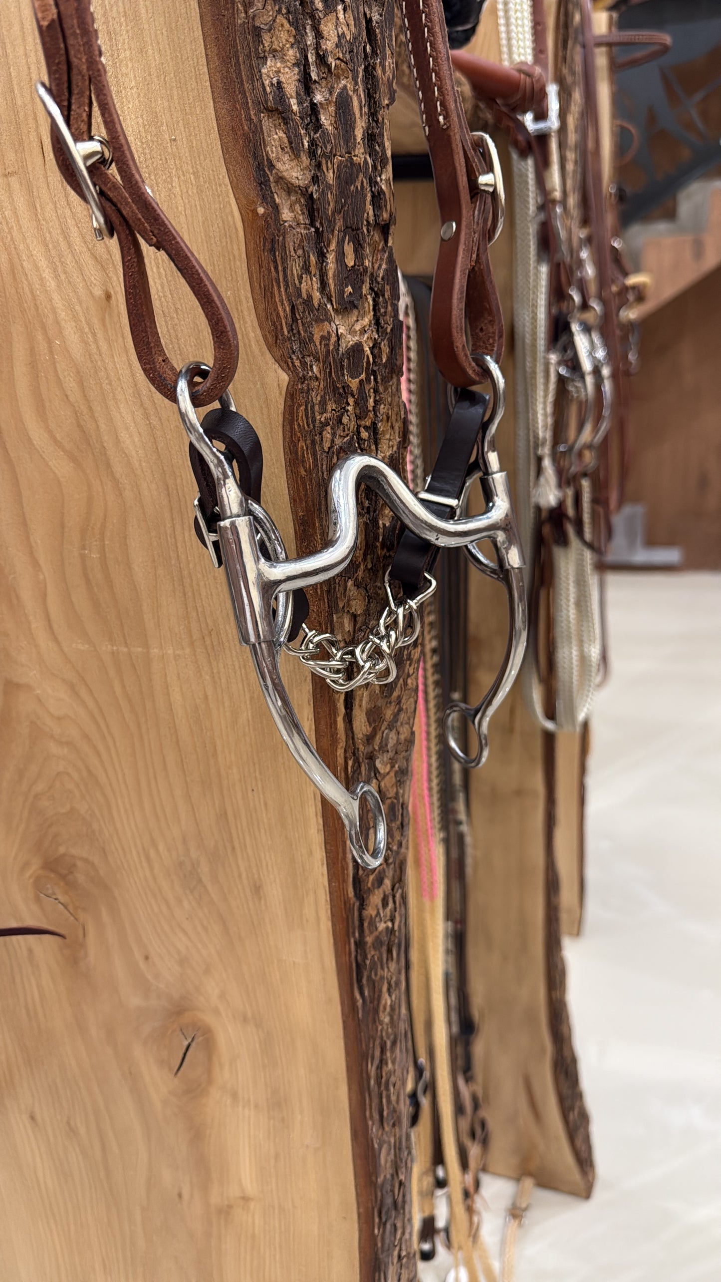 Horse bit 003