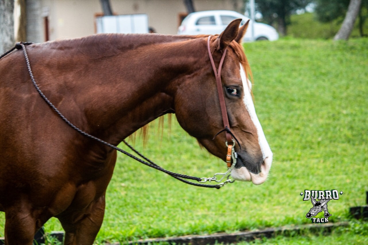 Split ear fancy buckle