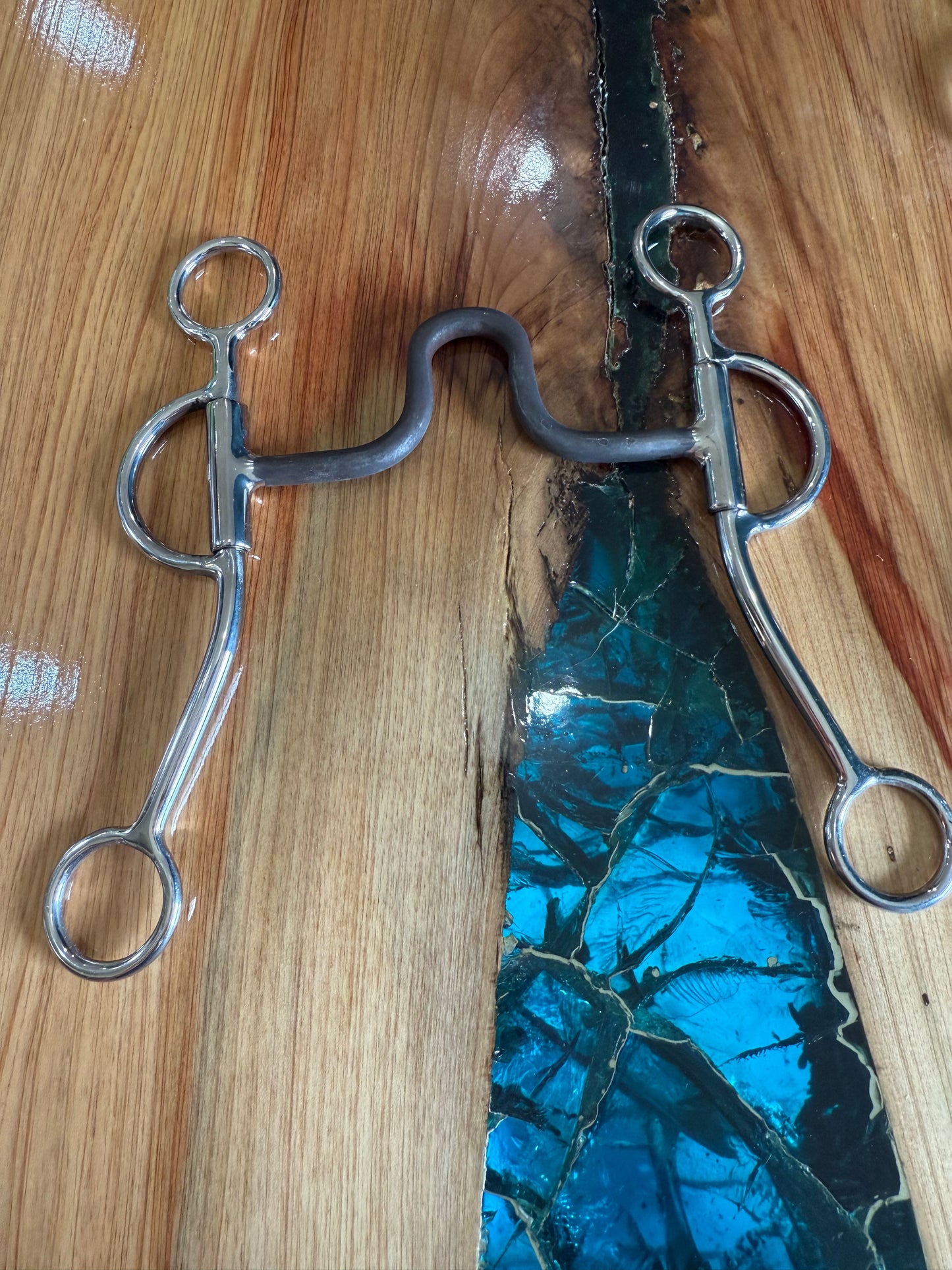 Horse bit 001