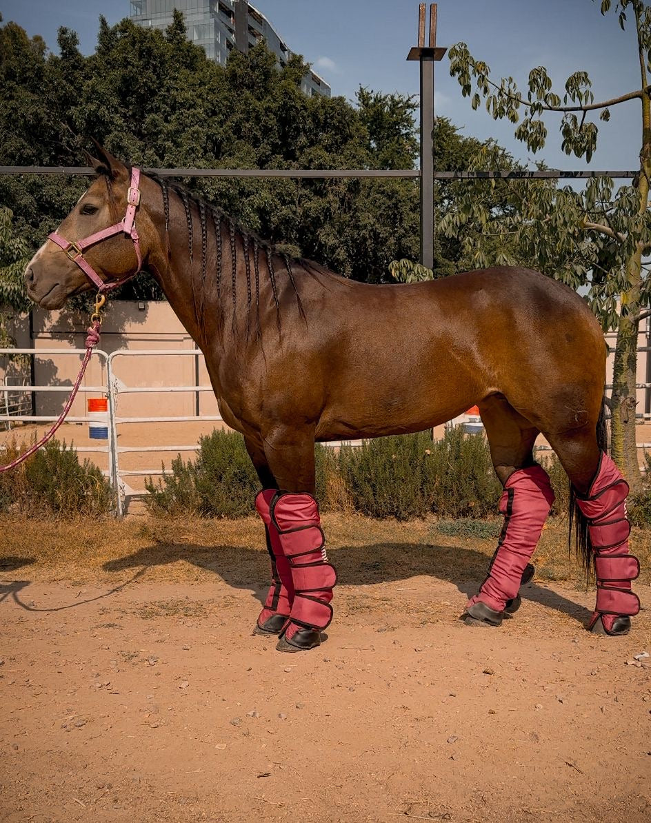 Botas de viaje Brumby