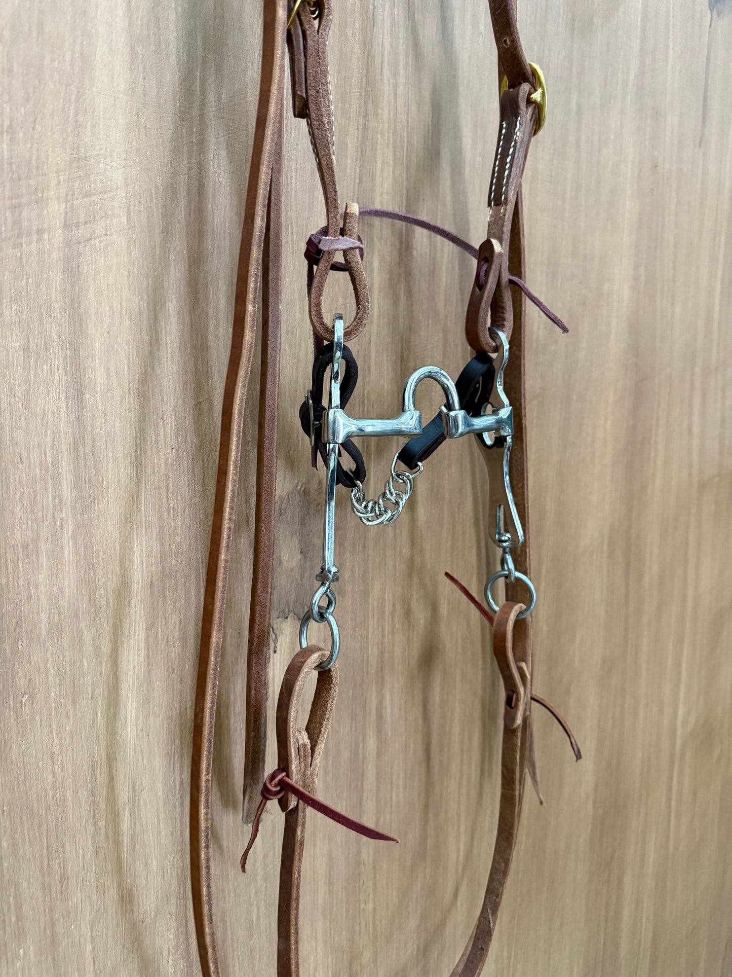 Whole correctional horse bridle