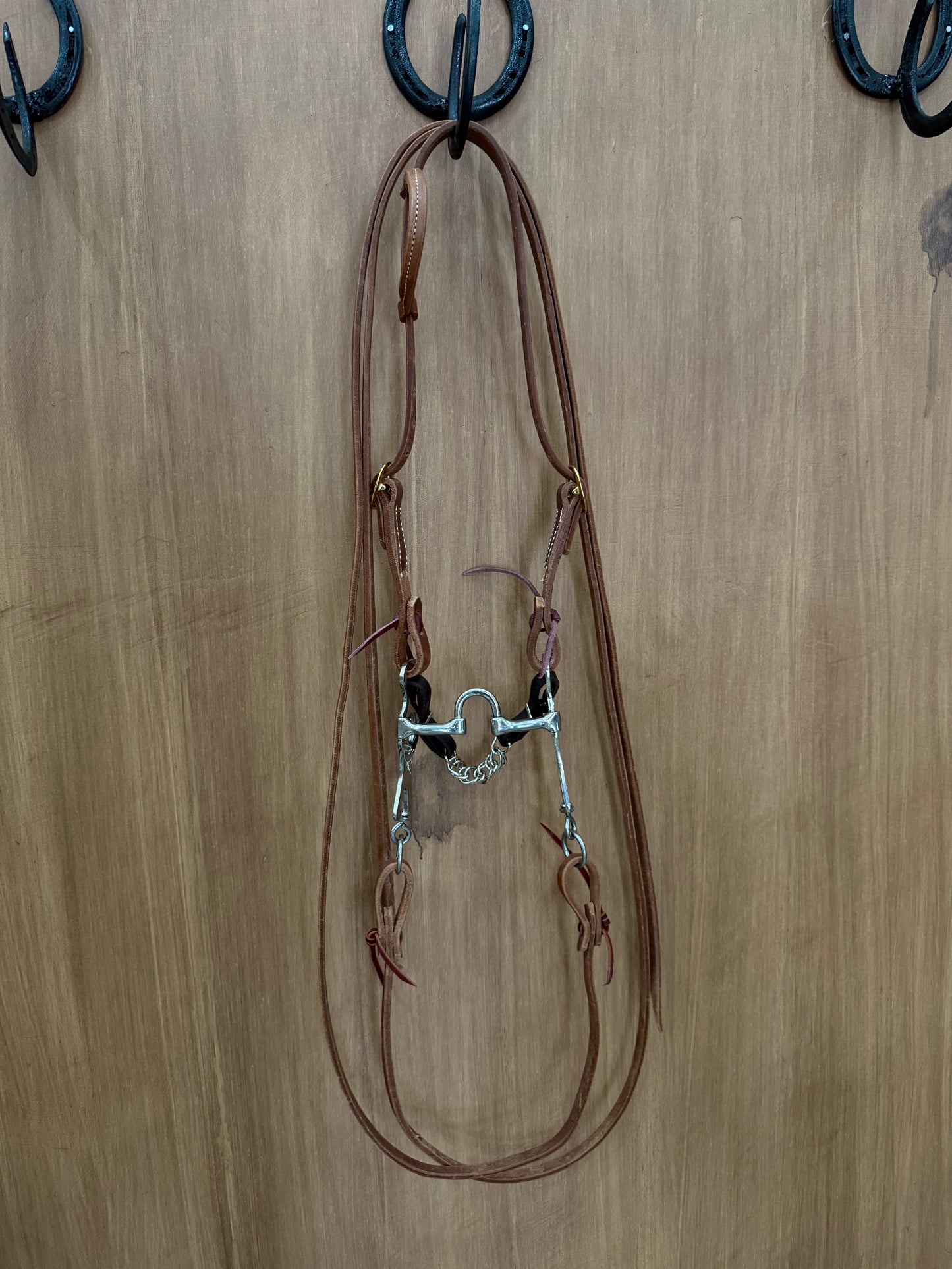 Whole correctional horse bridle