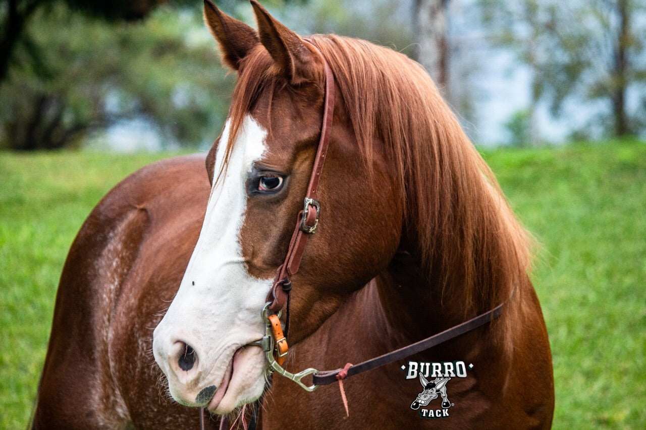 Split ear fancy buckle