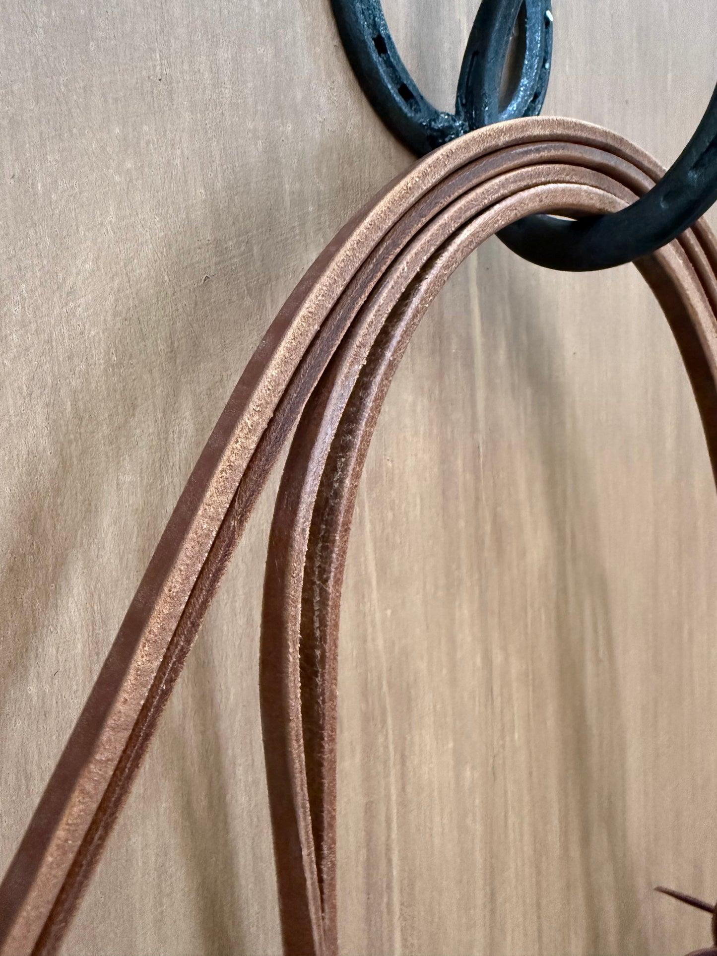 Whole correctional horse bridle