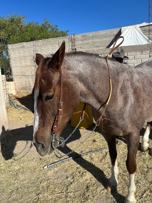 Charra leather reins with rawhide