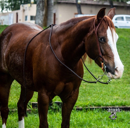 Split ear fancy buckle