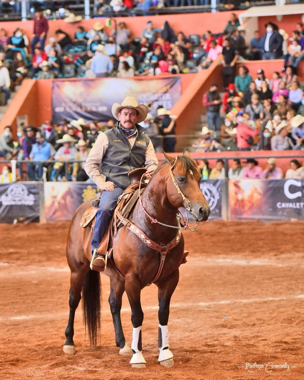 Braided rawhide one ear headstall