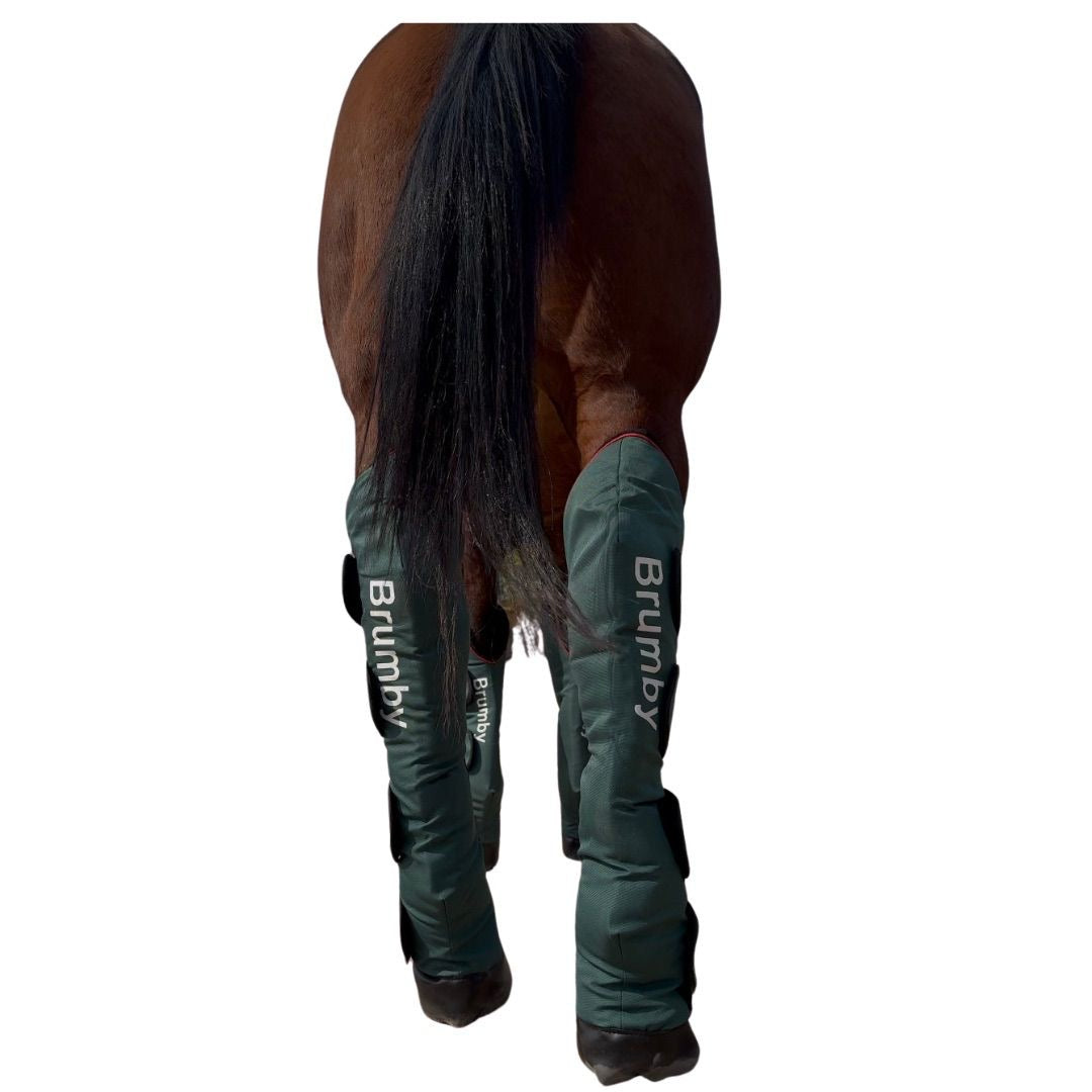 Botas de viaje Brumby