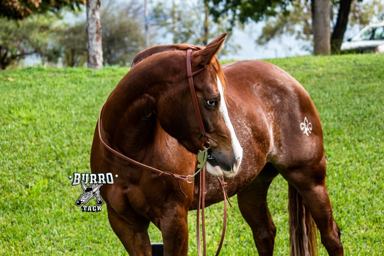 One ear Antique Buckle
