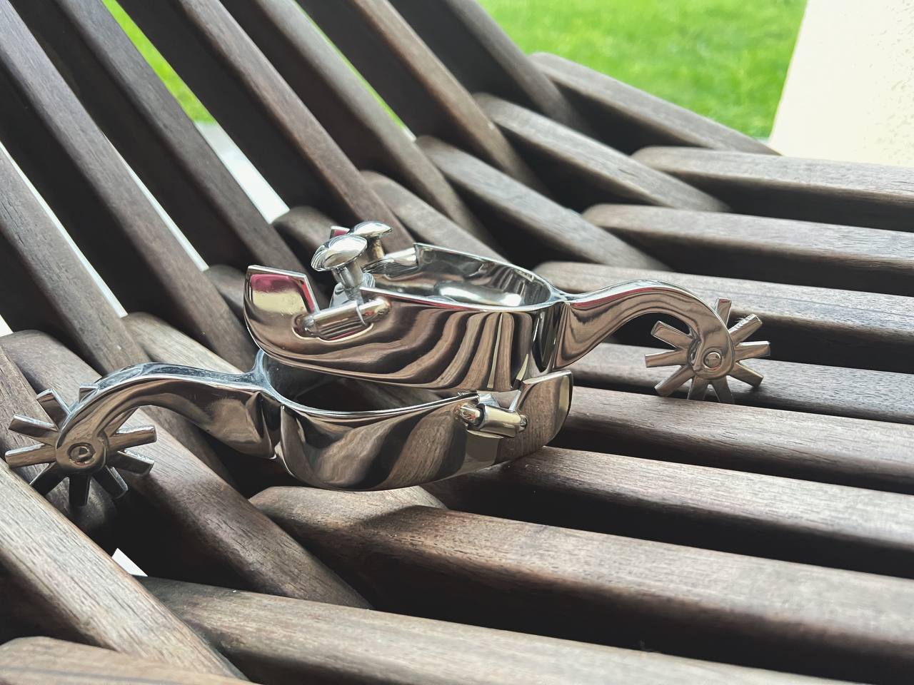 Stainless Steel Spurs