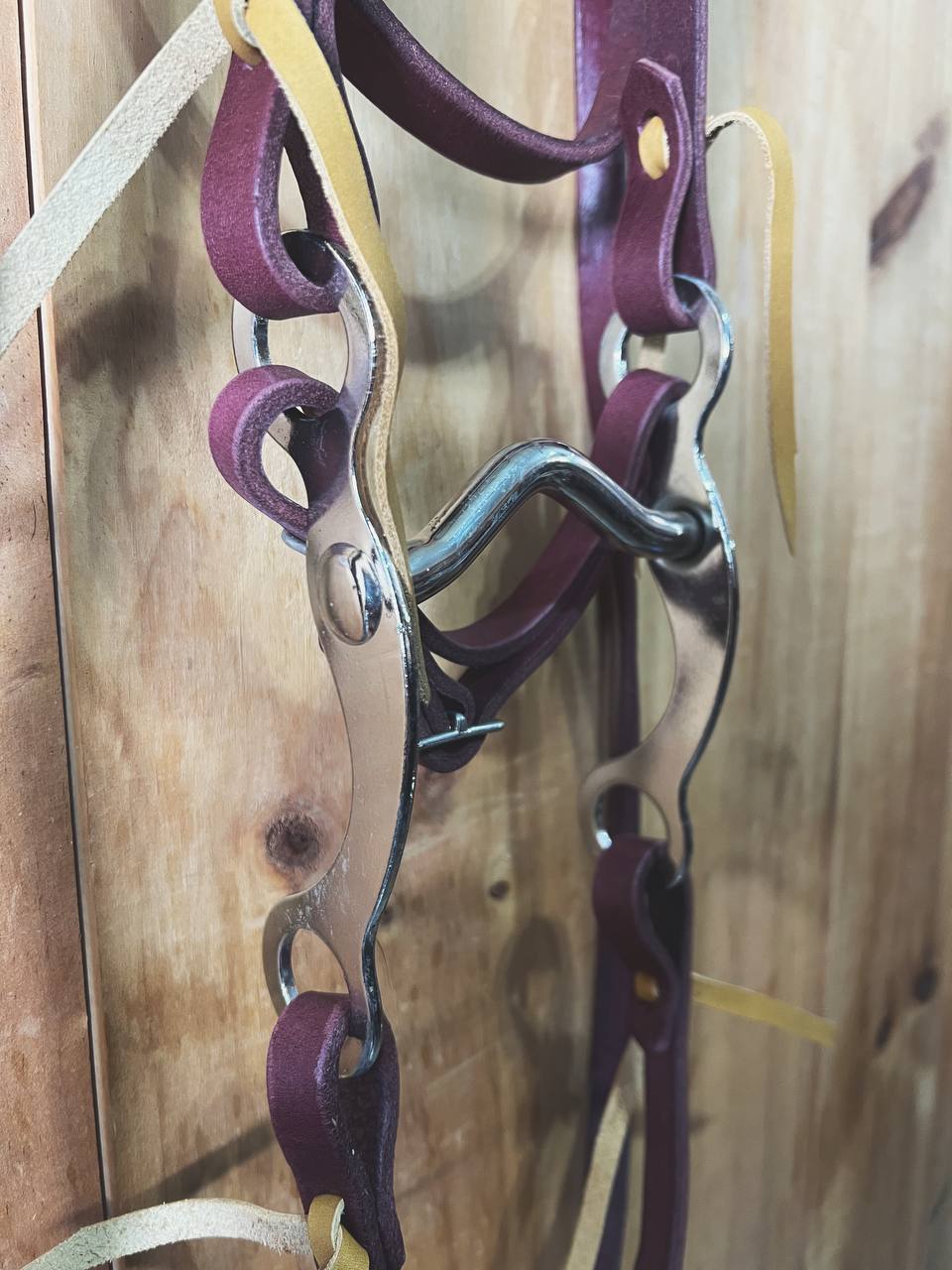 Latigo Pony Bridles