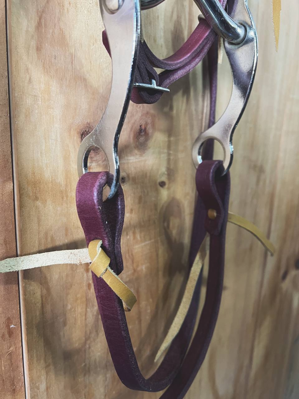 Latigo Pony Bridles