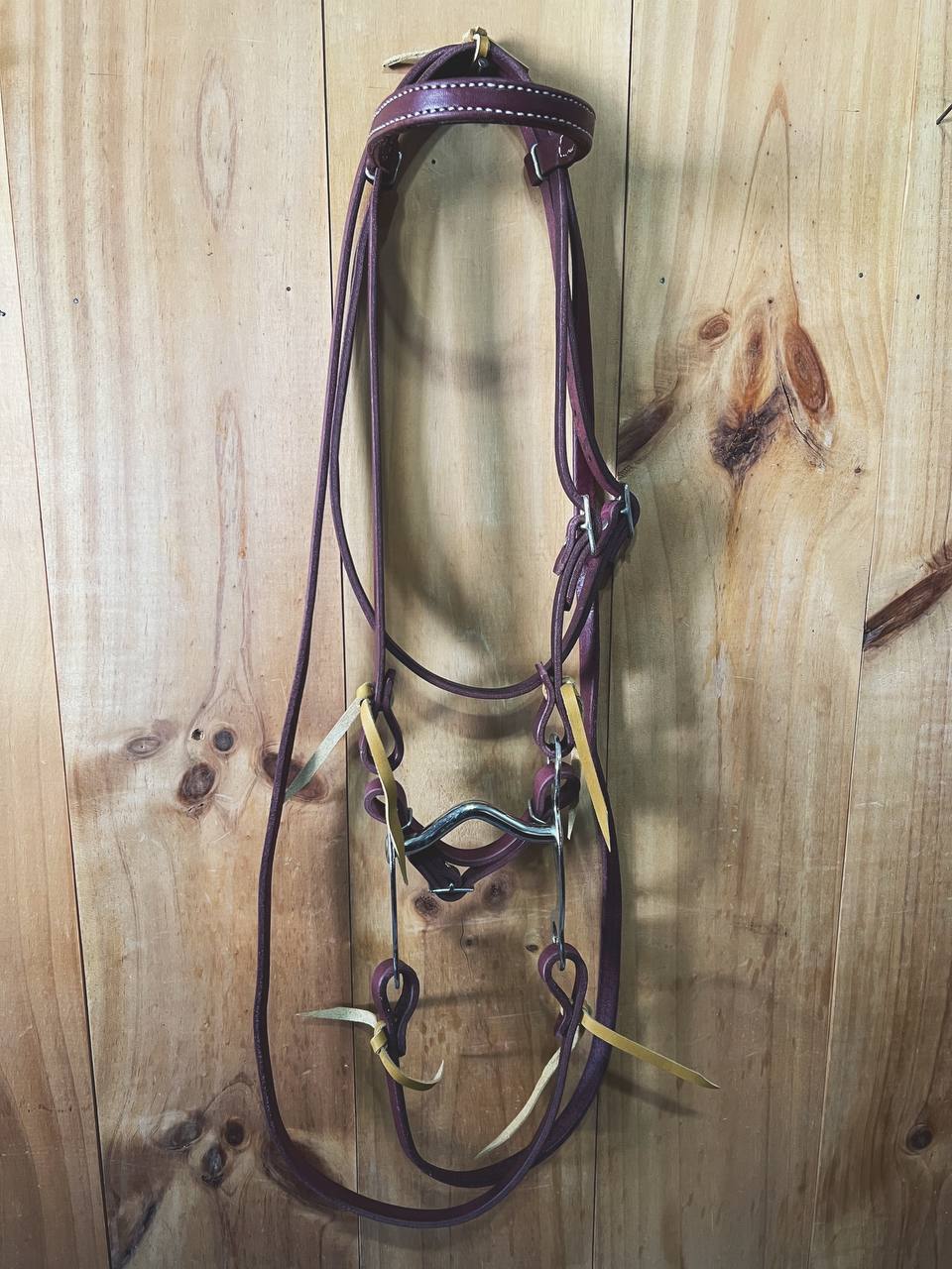 Latigo Pony Bridles