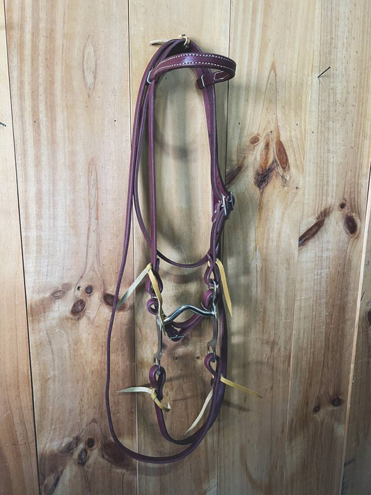 Latigo Pony Bridles