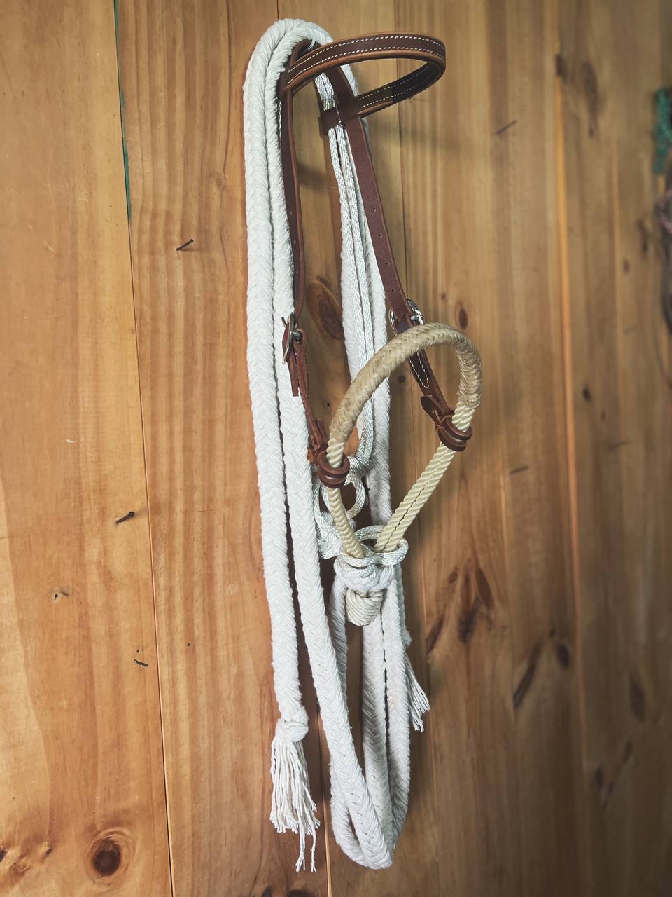 Rawhide Double Rope Hackamore