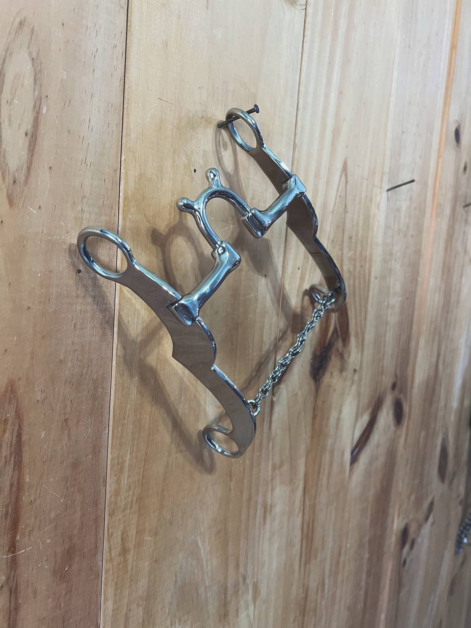 Correctional Horse Bit 02