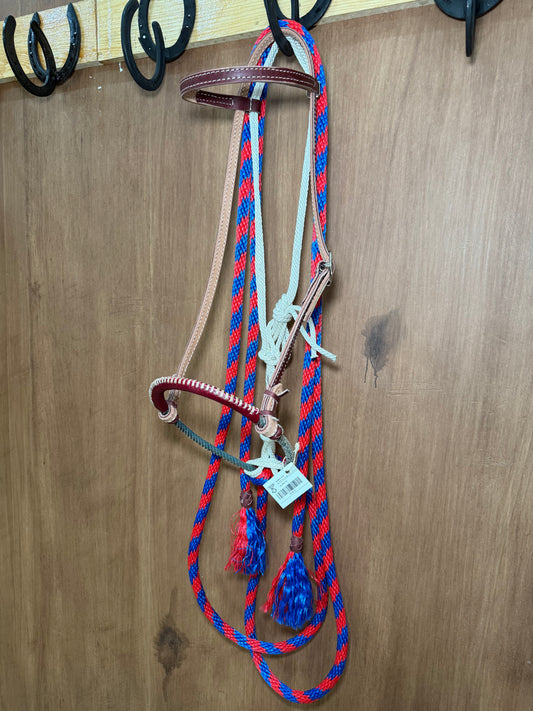 Red & blue Hackamore