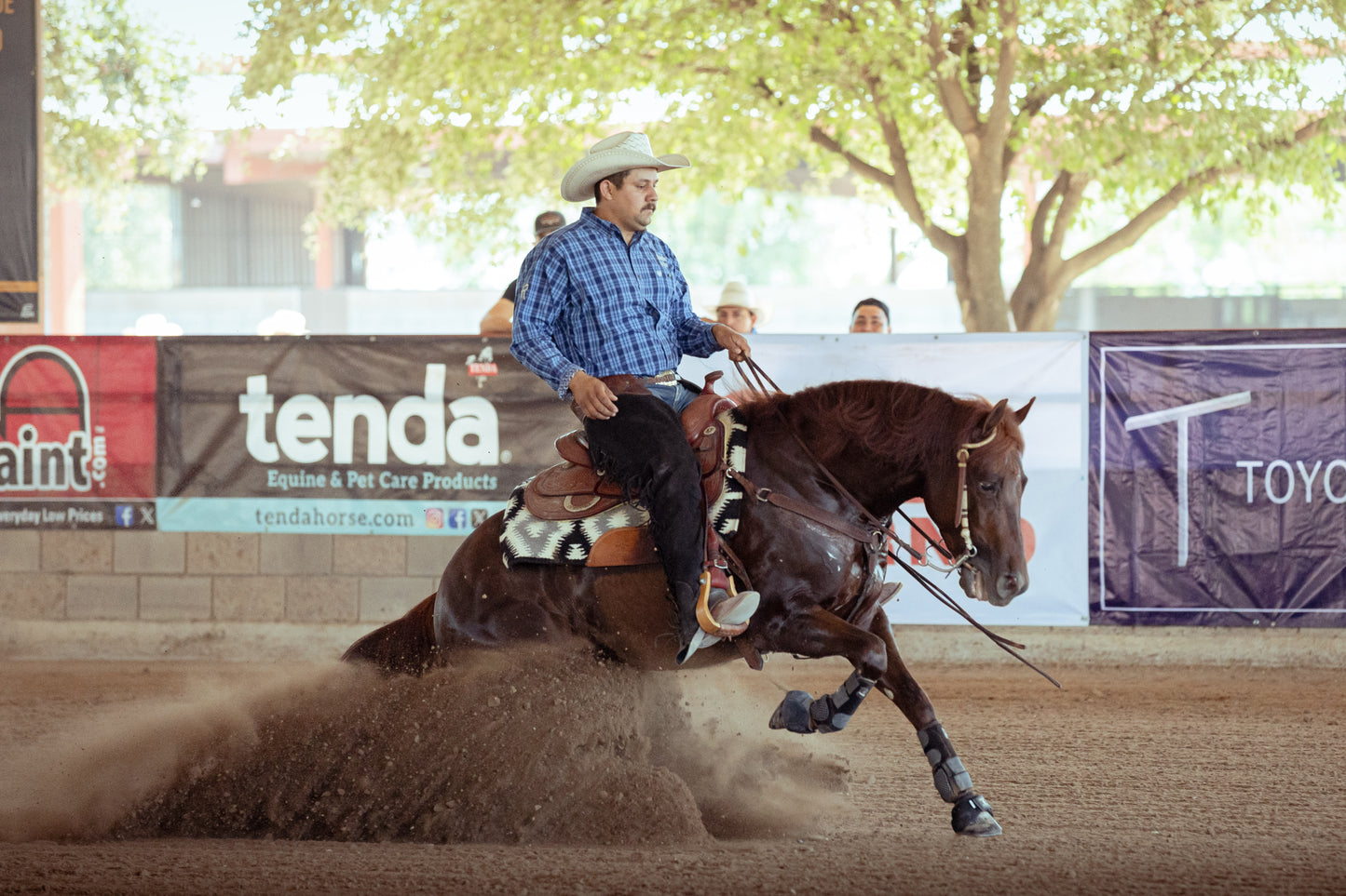 One ear two buckles rawhide ends headstalls