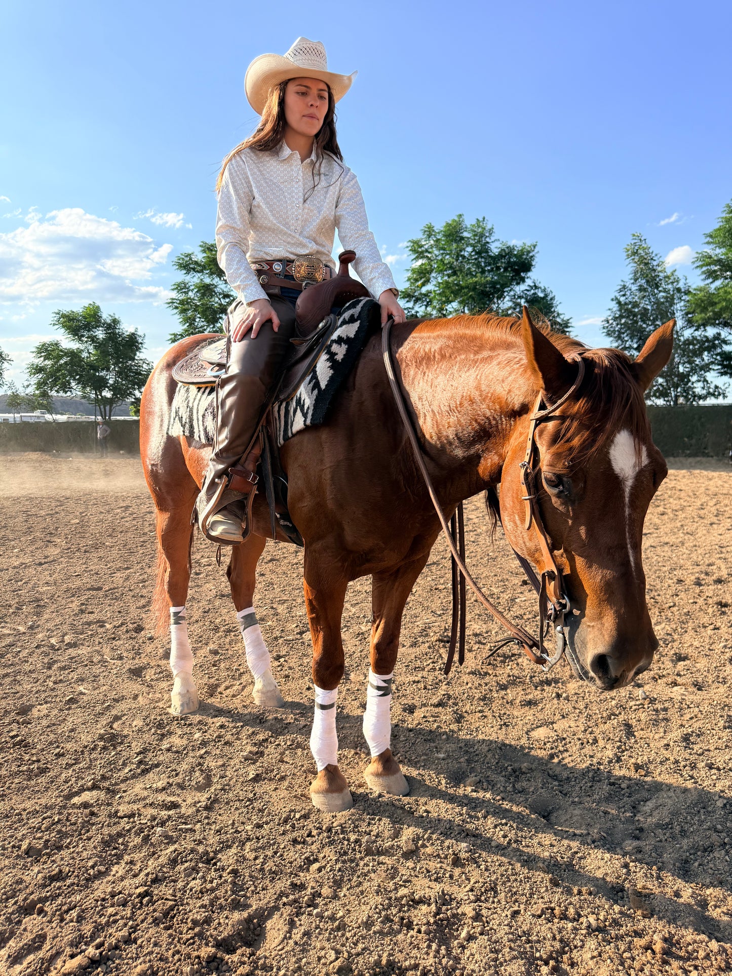 Heavy Double Stitched Reins