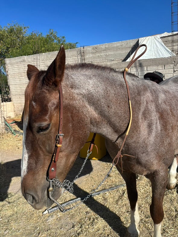 Charra leather reins with rawhide