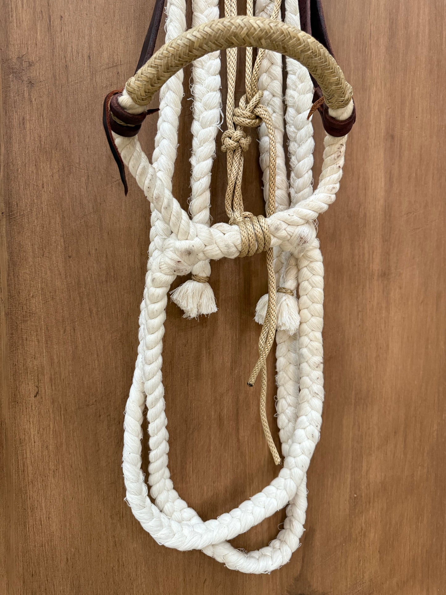 Cotton Hackamore with reins