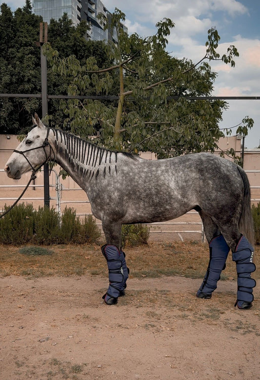 Botas de viaje Brumby