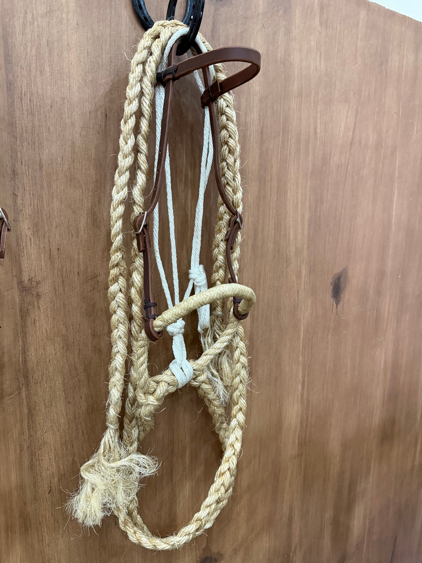 Grass Hackamore