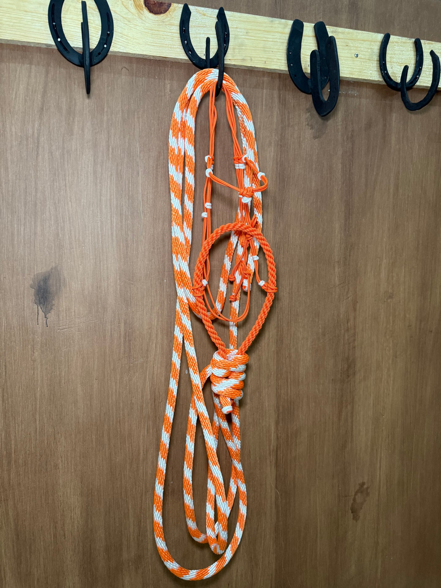 Rope Hackamore completo set