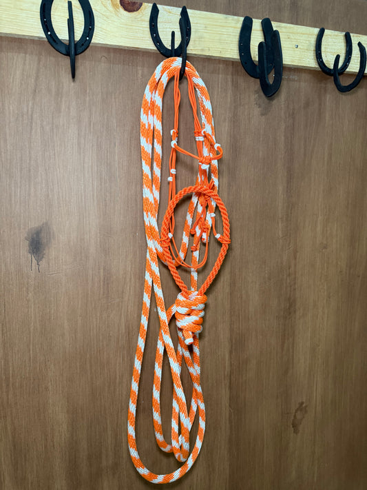 Rope Hackamore completo set