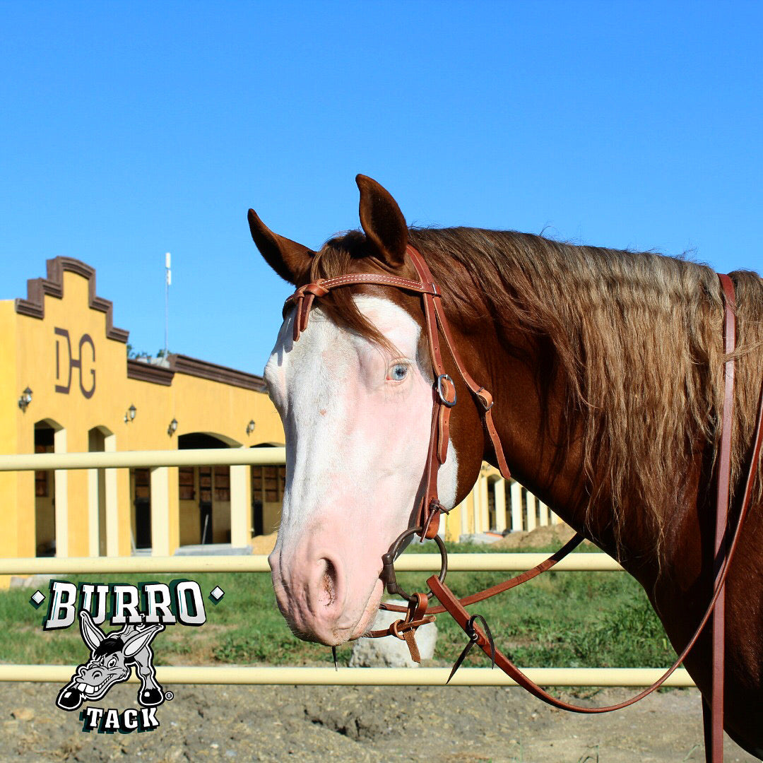 Crossover Old Harness headstall
