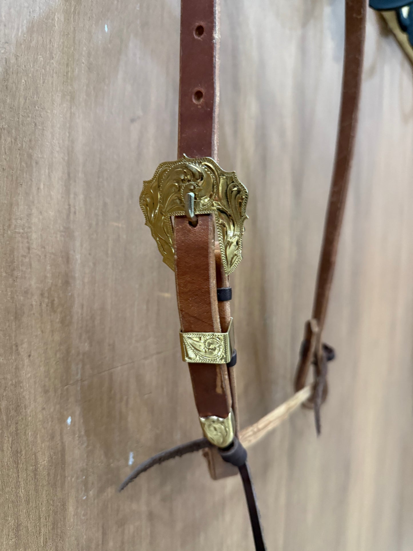 Classic 3/4” one ear with gold buckle set