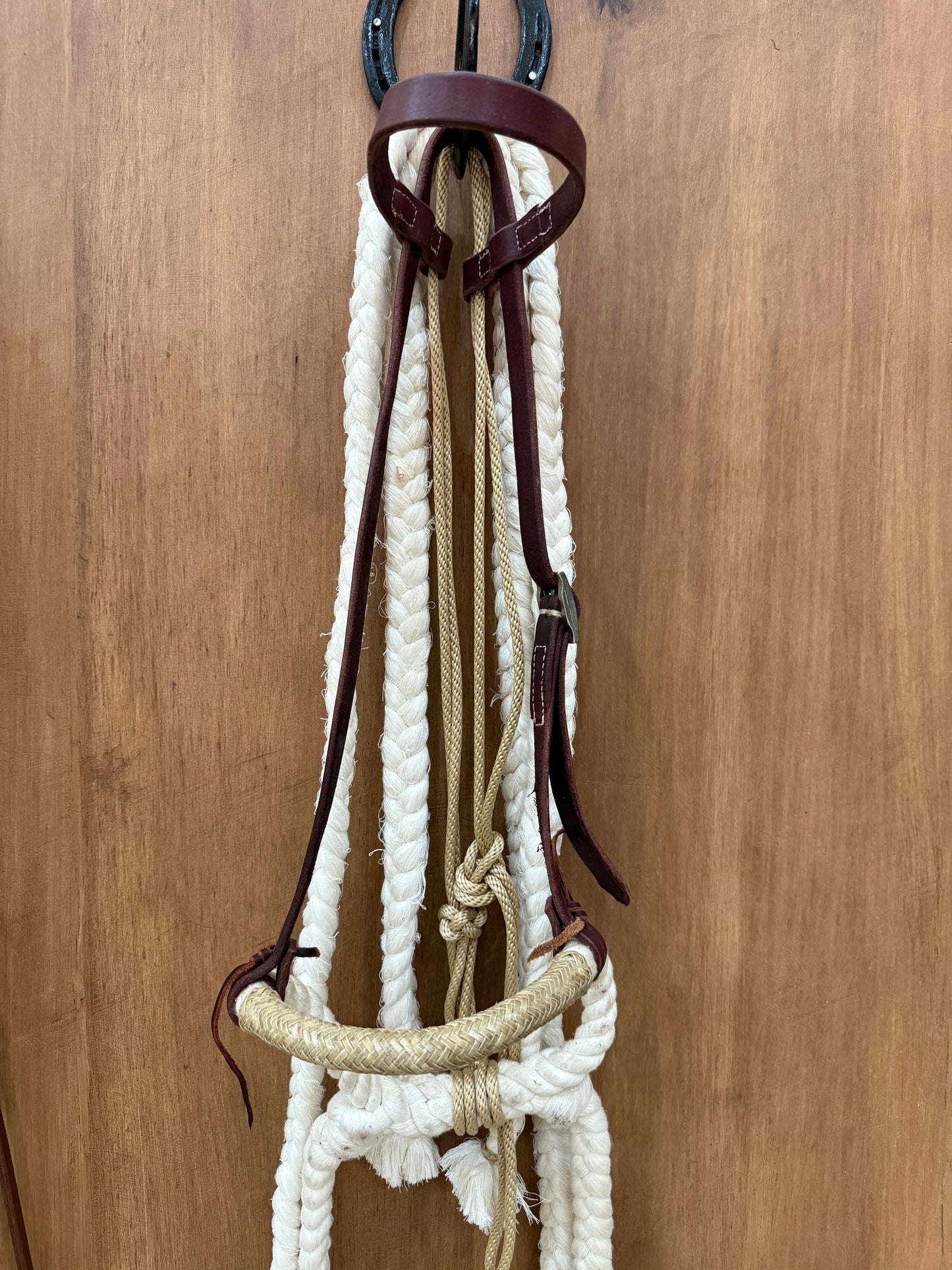 Cotton Hackamore with reins