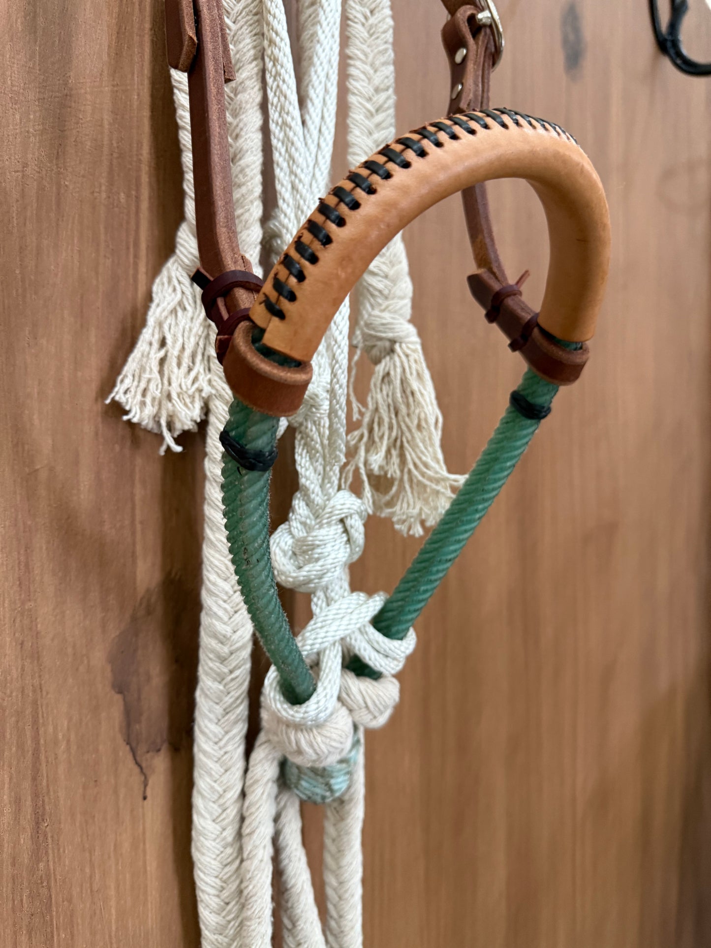 Double rope Hackamore