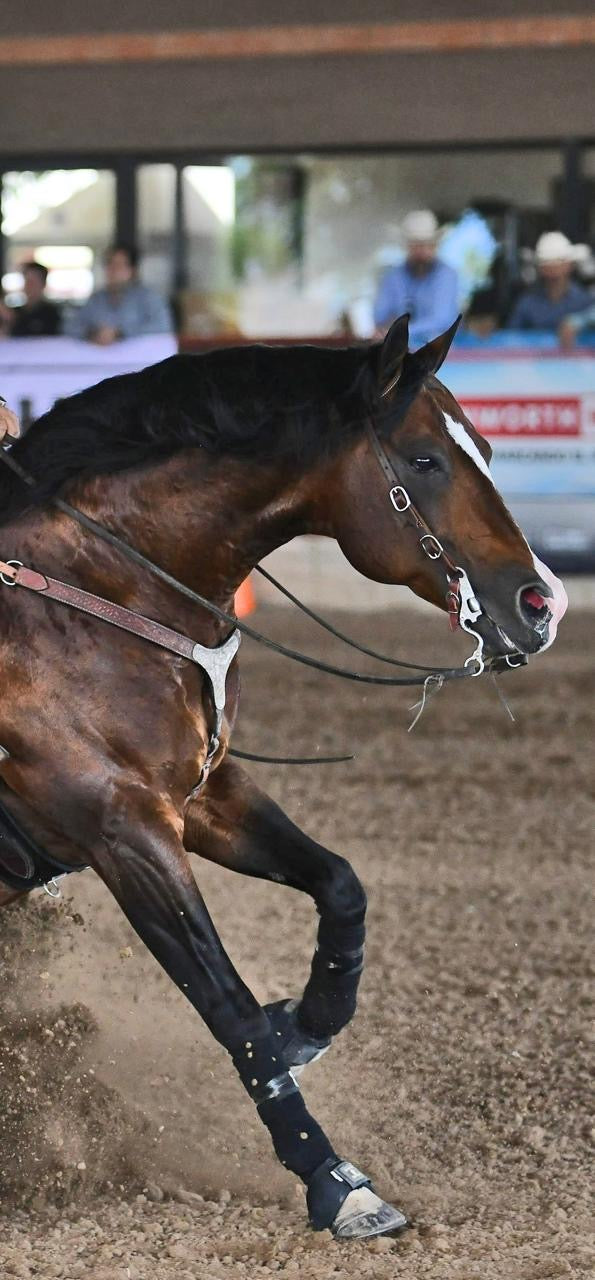 One ear 4 buckles headstall