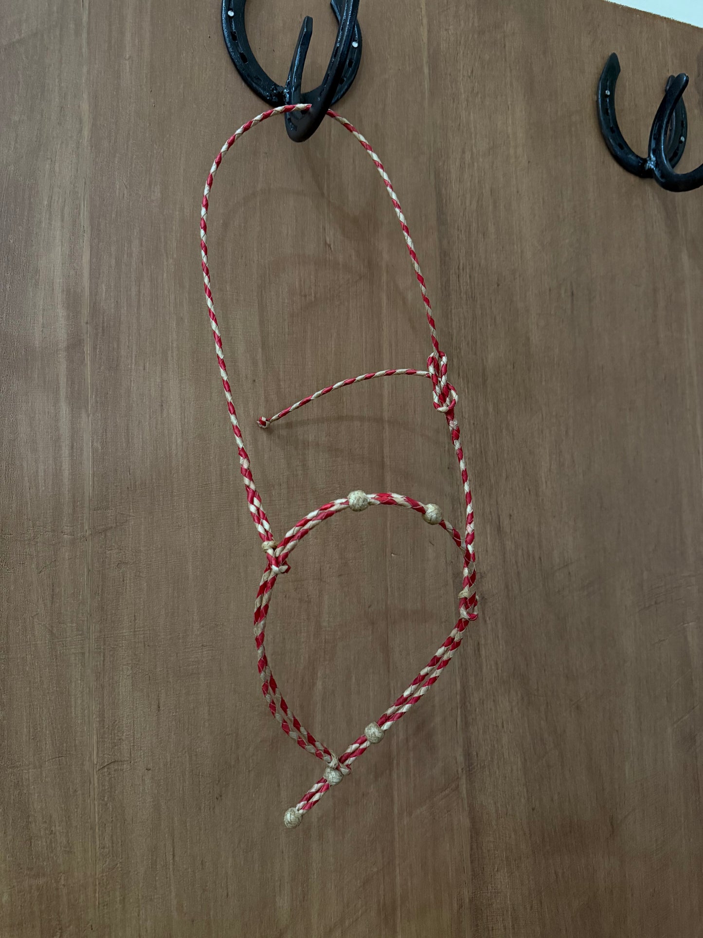 Doubled Braided Rawhide Cavesson
