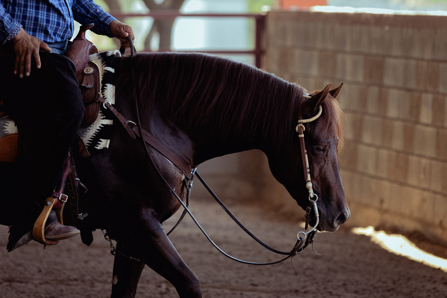 One ear two buckles rawhide ends headstalls
