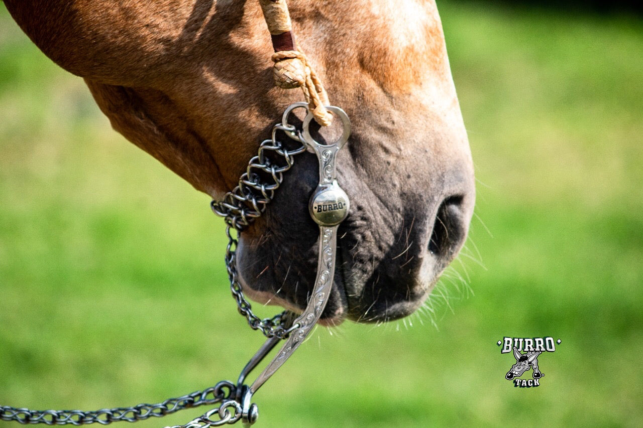 One ear two buckles rawhide ends headstalls