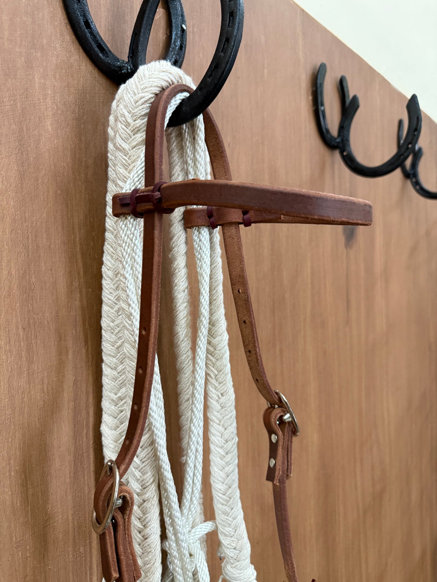 Double rope Hackamore