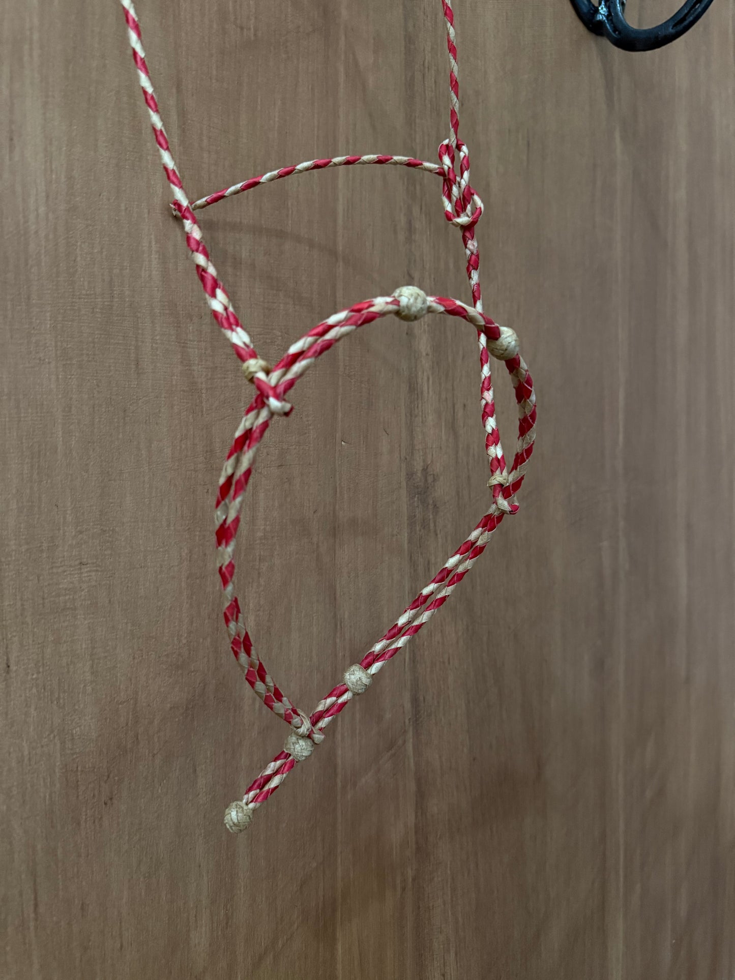 Doubled Braided Rawhide Cavesson