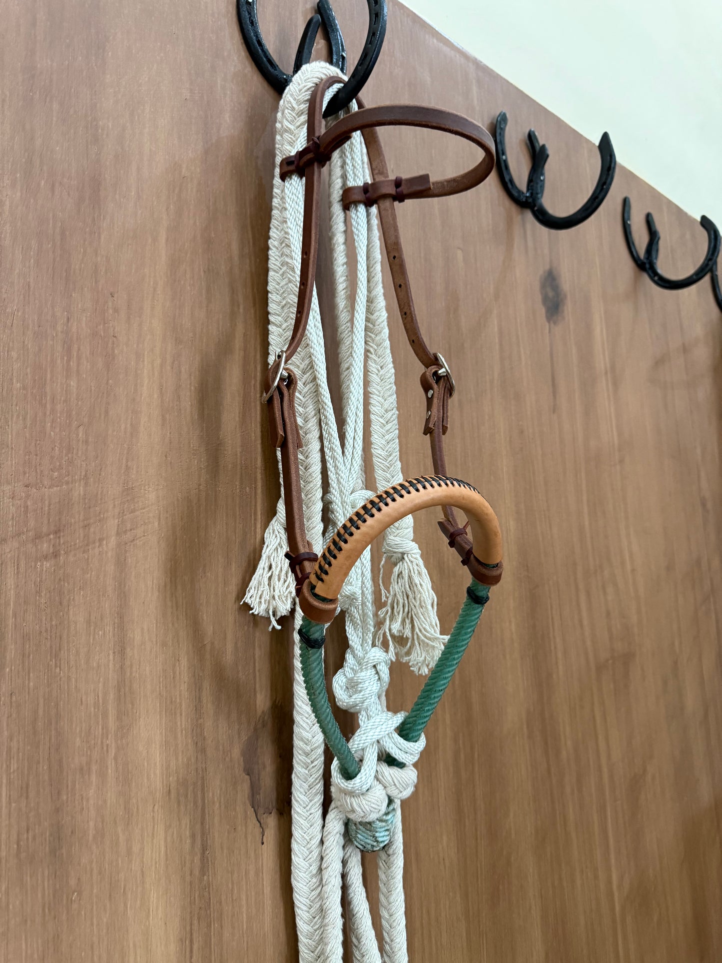 Double rope Hackamore