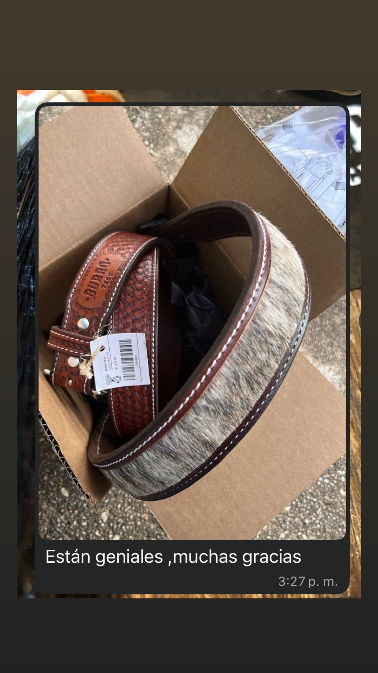Cowboy Belt 003