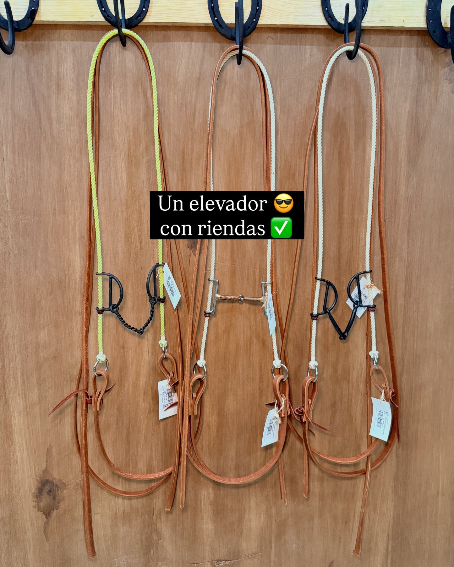 Rope Gag Bridles