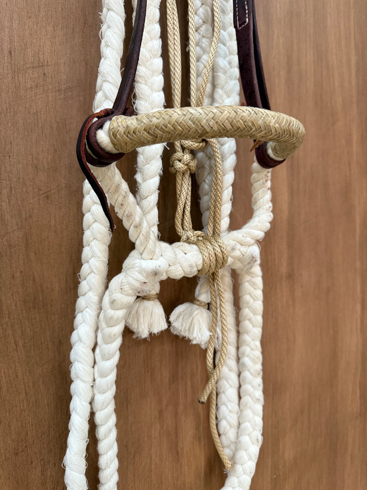 Cotton Hackamore with reins