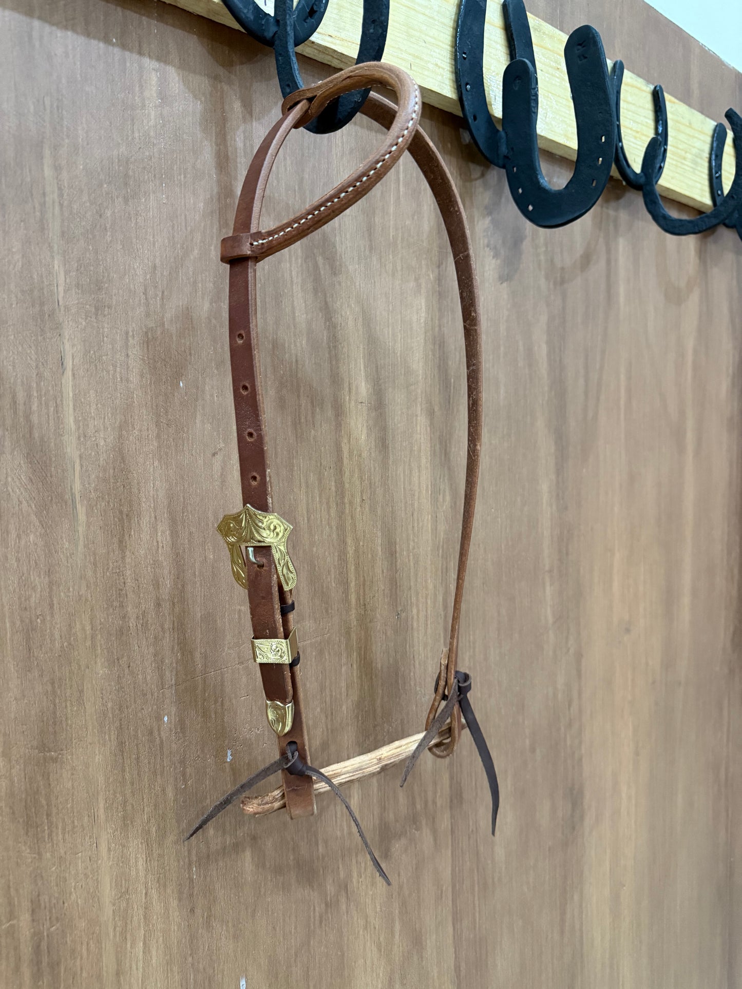 Classic 3/4” one ear with gold buckle set