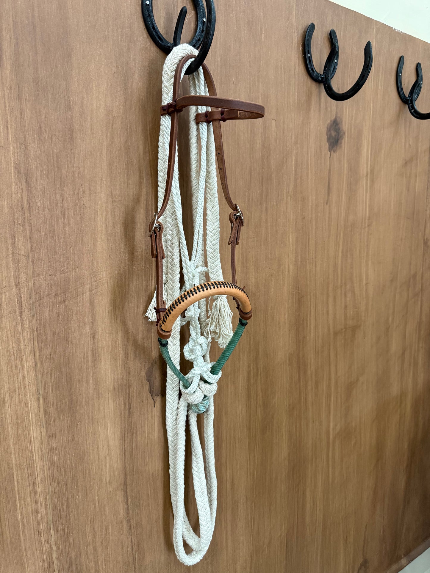 Double rope Hackamore