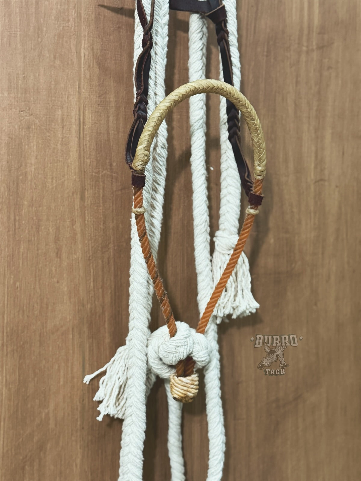 Hackamore single rope