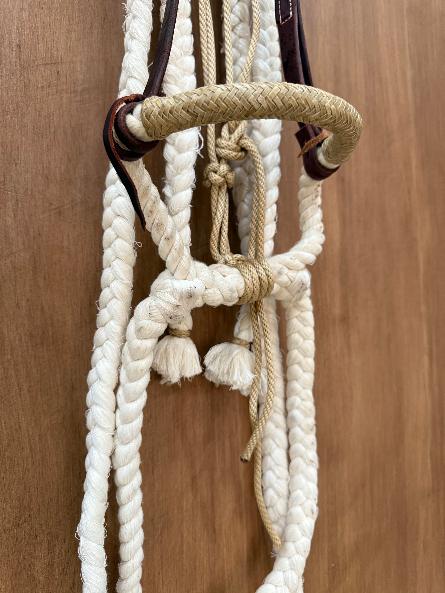 Cotton Hackamore with reins