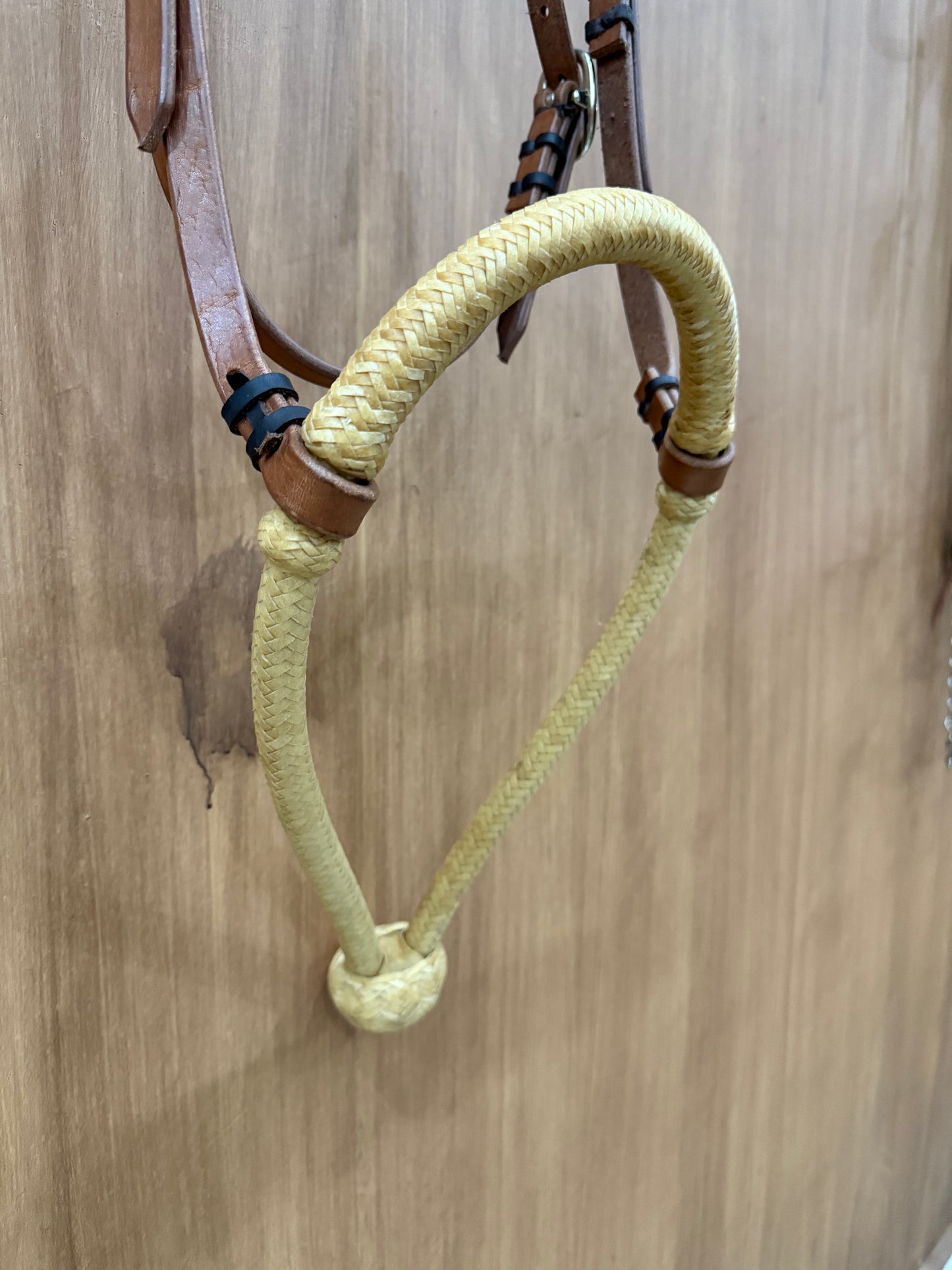 Rawhide braided 5/8" Hackamore bosal with Browband Headstall